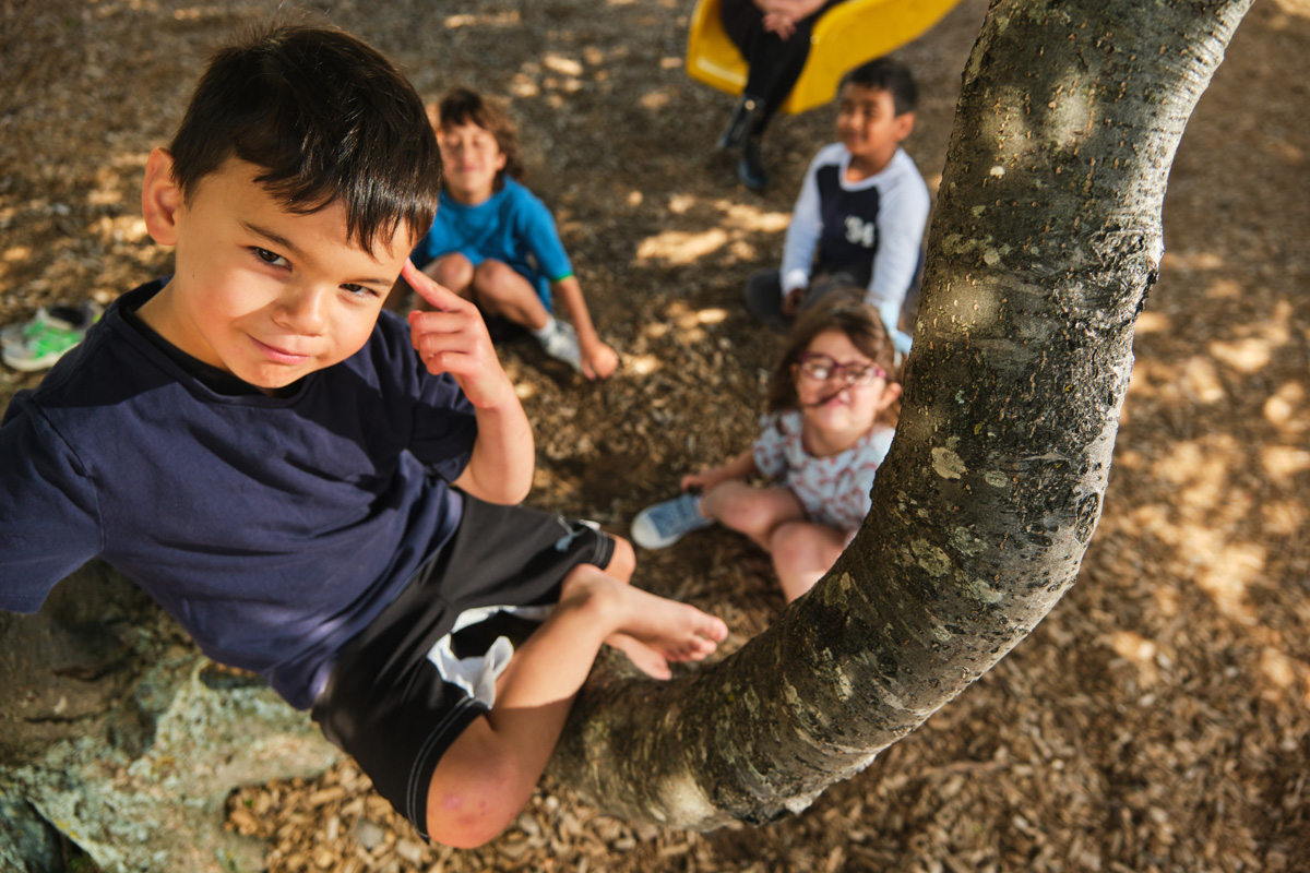 A boy sitting in a tree points to his head. Three other children sit below him on the ground.